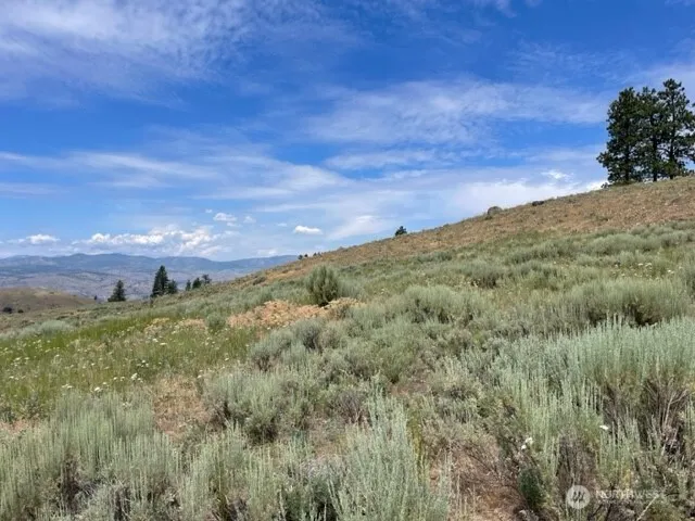 1 Alta Vista Way Orondo, WA 98816
