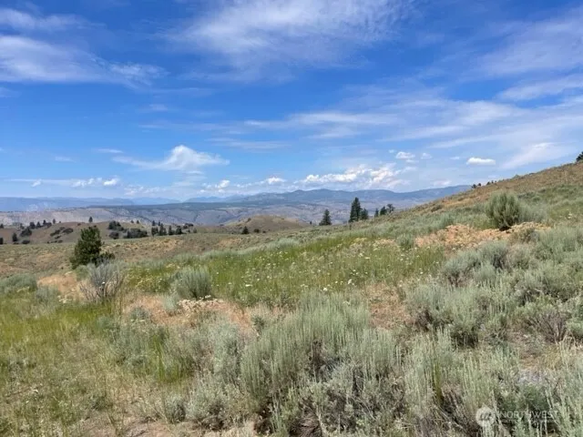 1 Alta Vista Way Orondo, WA 98816
