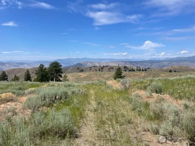 1 Alta Vista Way Orondo, WA 98816