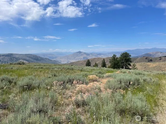 1 Alta Vista Way Orondo, WA 98816