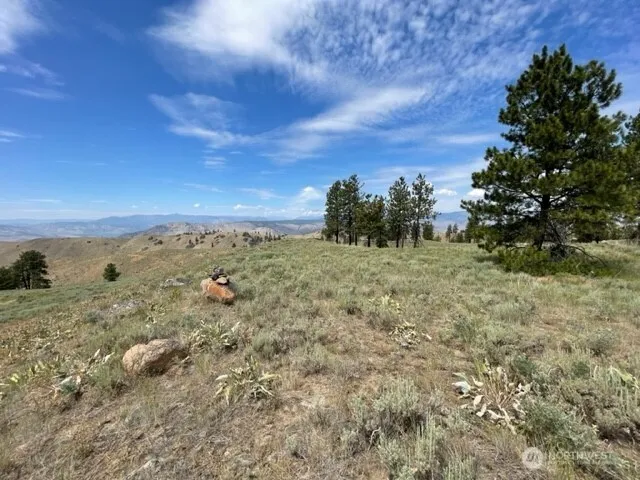 1 Alta Vista Way Orondo, WA 98816