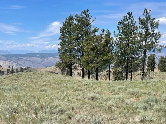 1 Alta Vista Way Orondo, WA 98816