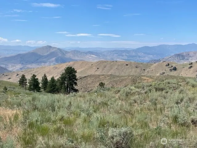 1 Alta Vista Way Orondo, WA 98816