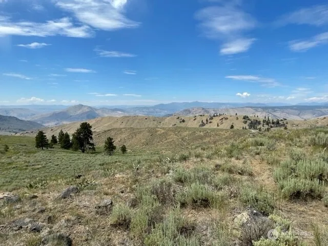 1 Alta Vista Way Orondo, WA 98816