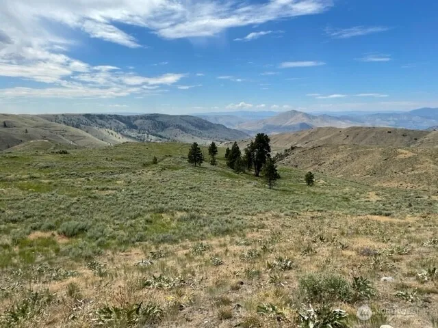 1 Alta Vista Way Orondo, WA 98816