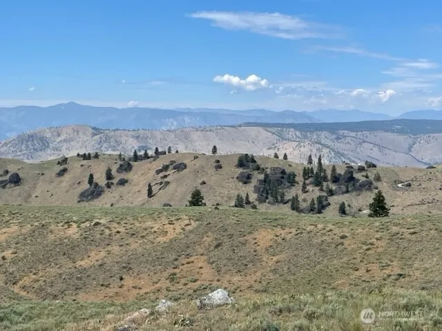 1 Alta Vista Way Orondo, WA 98816