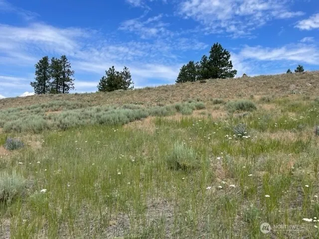 1 Alta Vista Way Orondo, WA 98816