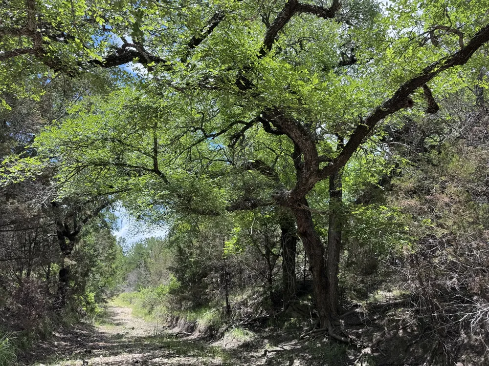 312 Oak Stump Drive Goldthwaite, TX 76844