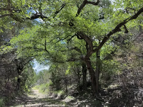 312 Oak Stump Drive