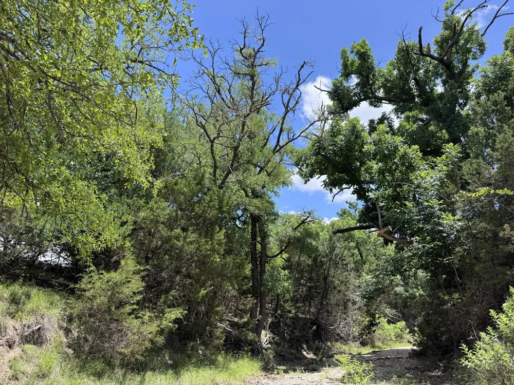312 Oak Stump Drive Goldthwaite, TX 76844