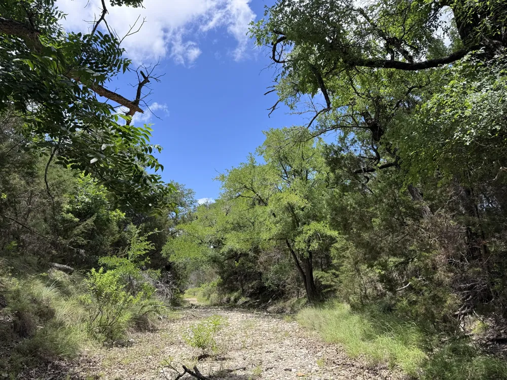 312 Oak Stump Drive Goldthwaite, TX 76844