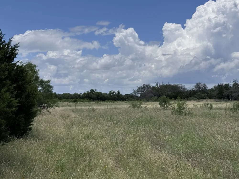 312 Oak Stump Drive Goldthwaite, TX 76844
