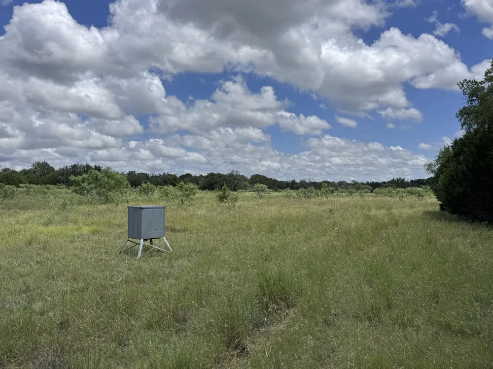 312 Oak Stump Drive Goldthwaite, TX 76844