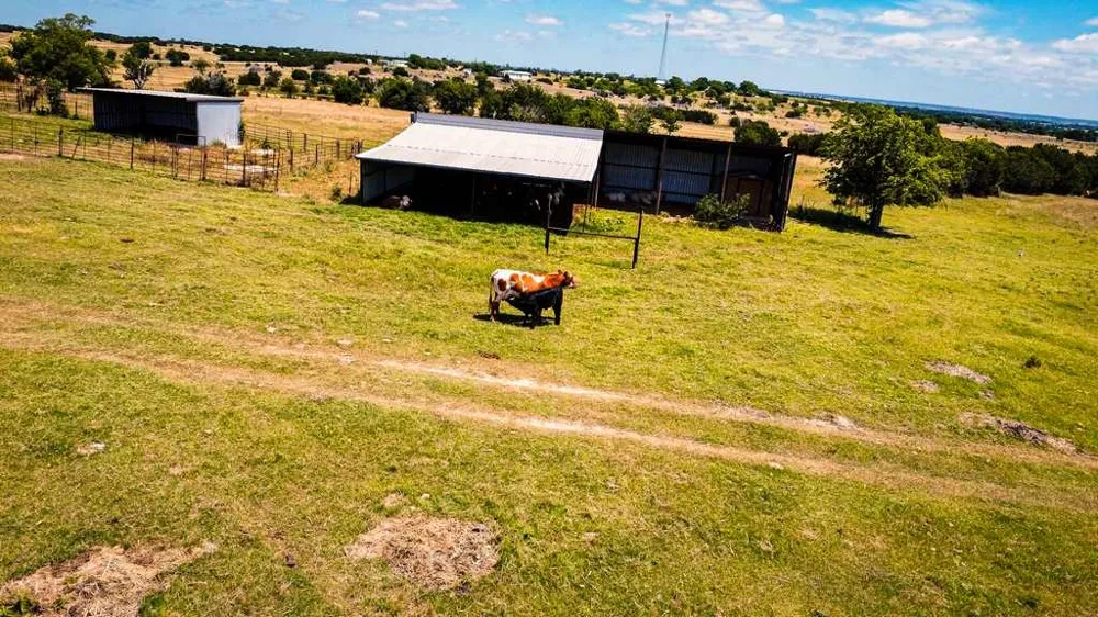 2455 FM 116 Gatesville, TX 76528