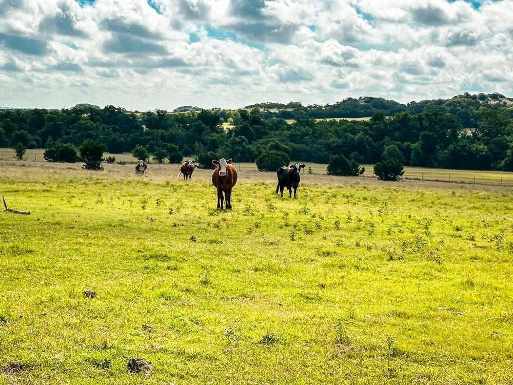 2455 FM 116 Gatesville, TX 76528