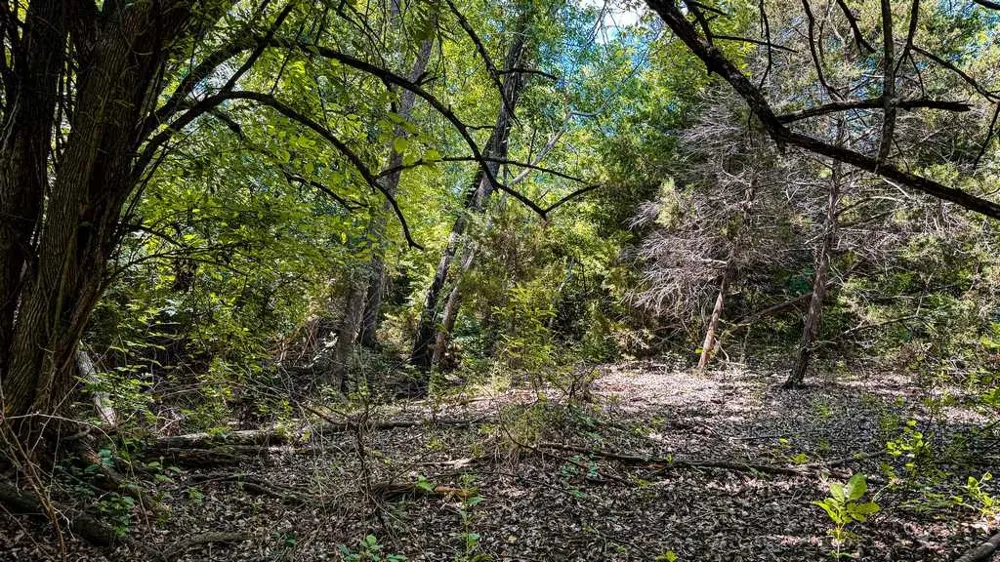 2455 FM 116 Gatesville, TX 76528