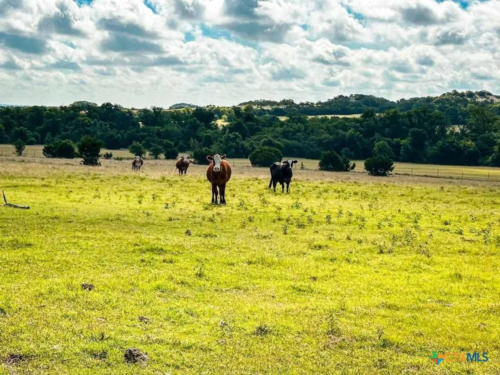 2445 FM 116 Gatesville, TX 76528