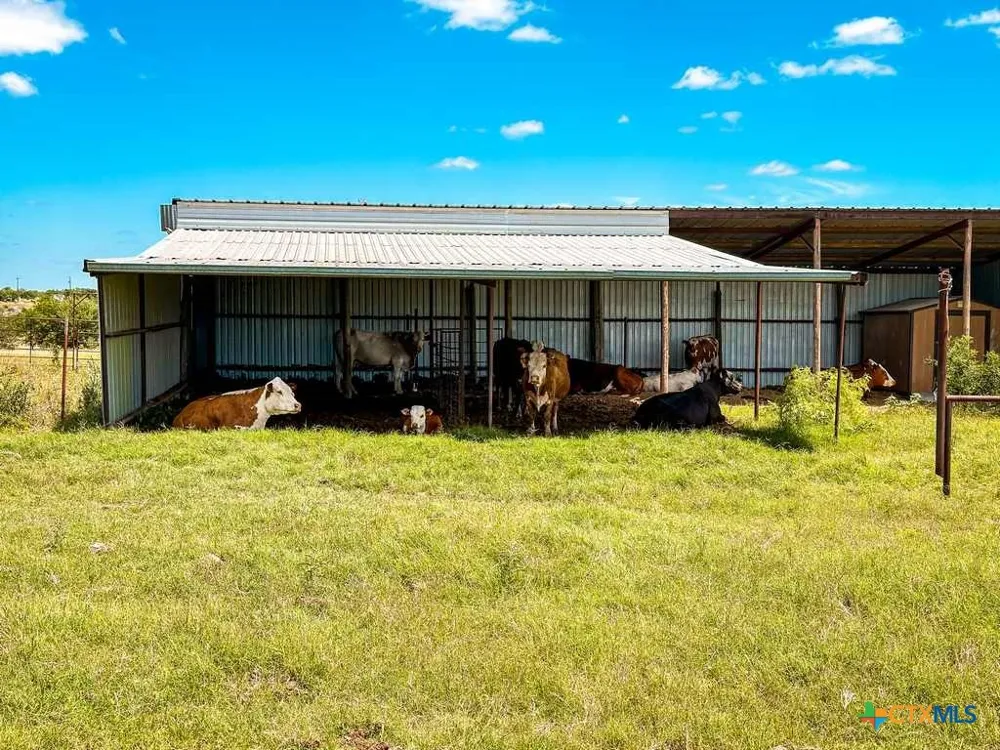 2445 FM 116 Gatesville, TX 76528