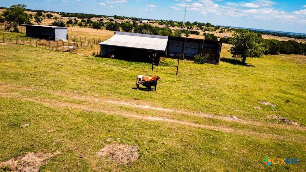 2445 FM 116 Gatesville, TX 76528