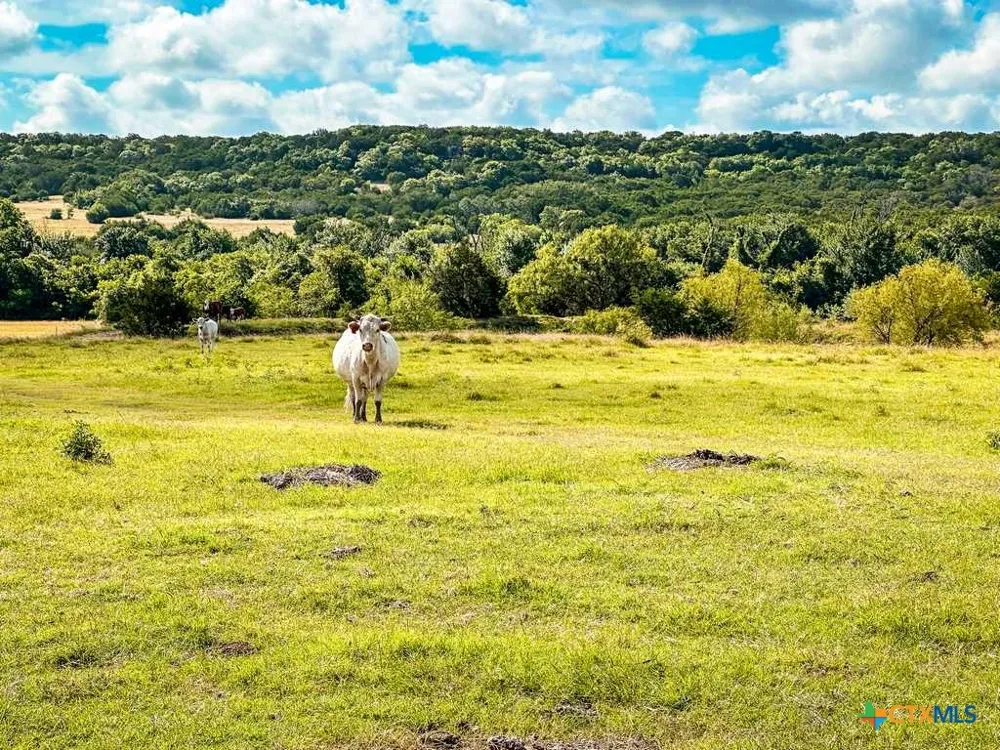 2445 FM 116 Gatesville, TX 76528