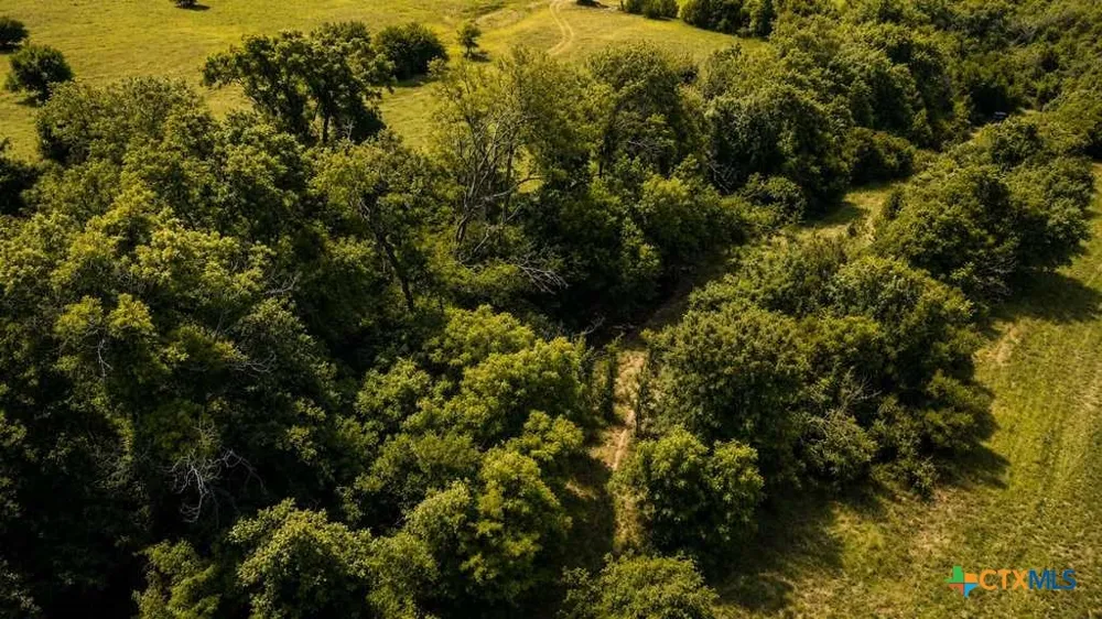 2445 FM 116 Gatesville, TX 76528