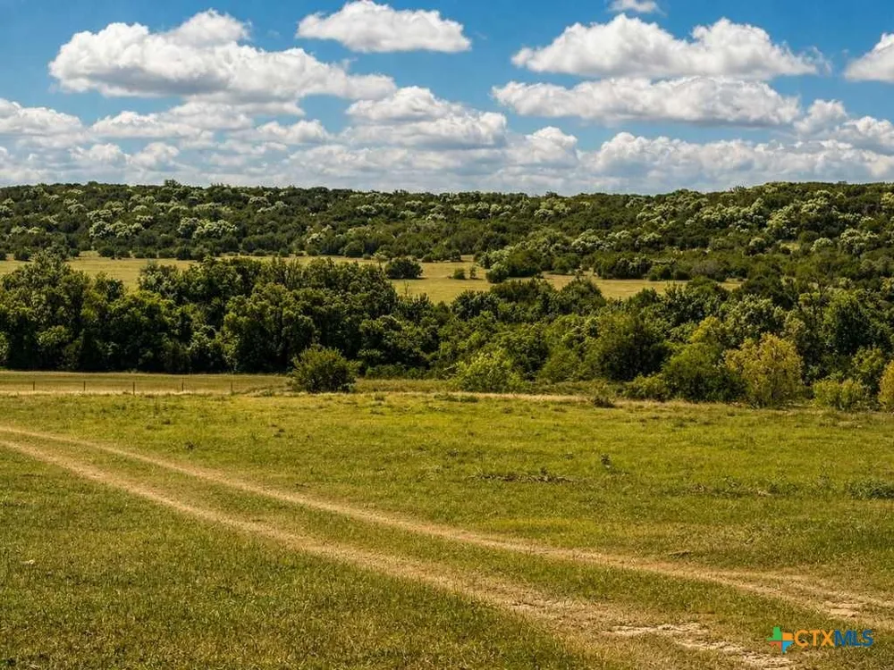 2445 FM 116 Gatesville, TX 76528