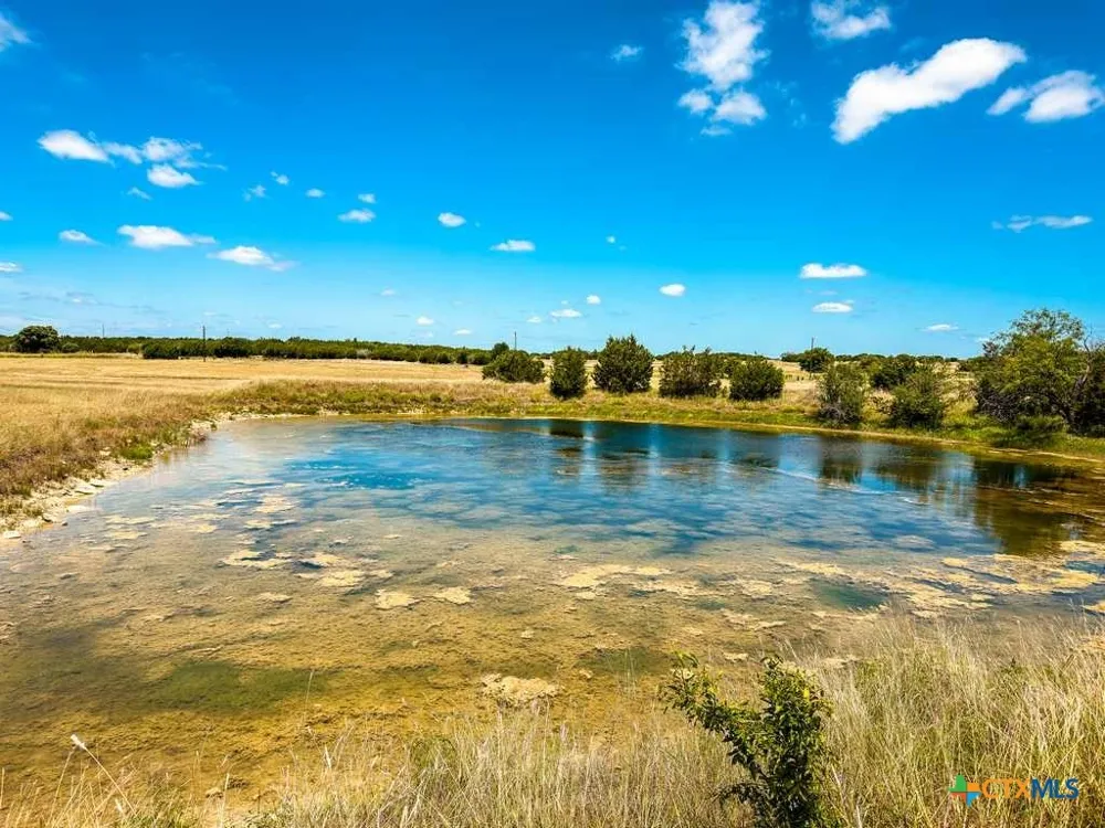 2445 FM 116 Gatesville, TX 76528