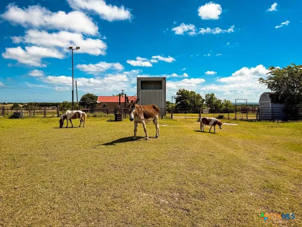 2445 FM 116 Gatesville, TX 76528