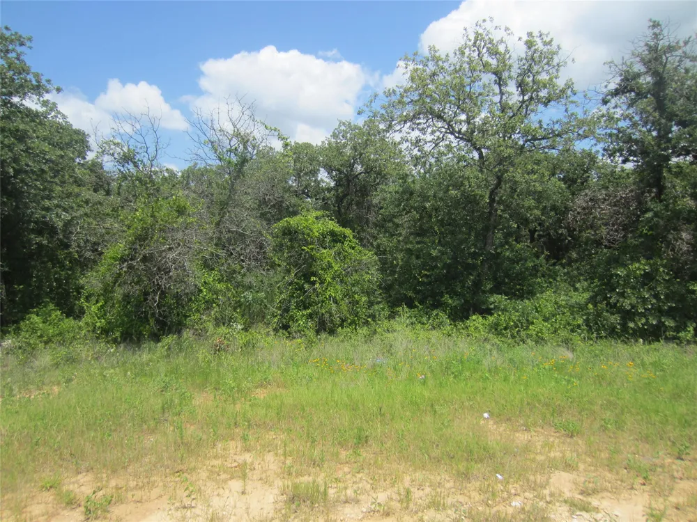 625 Dana Court Tolar, TX 76476