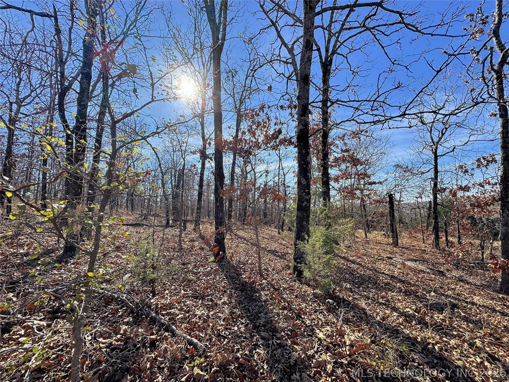 95001 S 4556 ROAD Vian, OK 74962