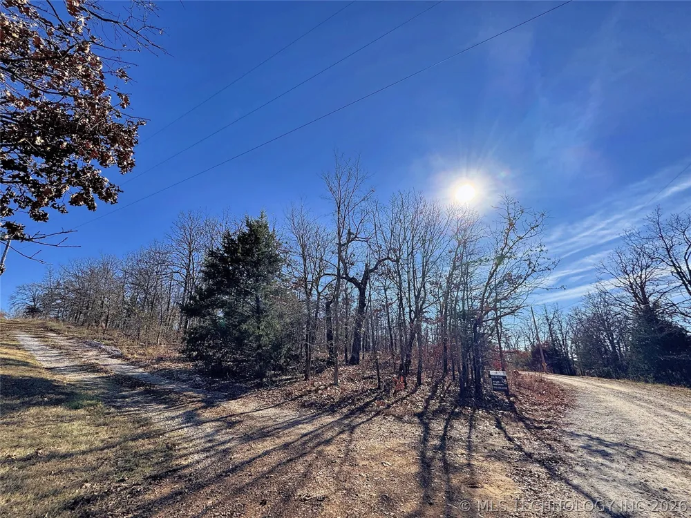 95001 S 4556 ROAD Vian, OK 74962