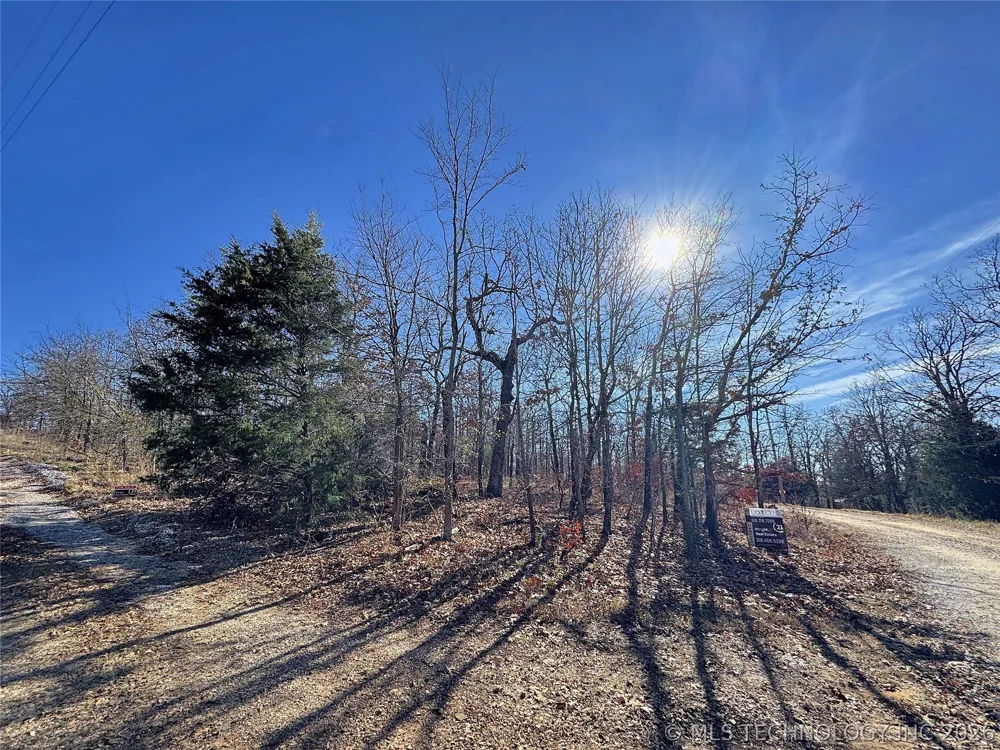 95001 S 4556 ROAD Vian, OK 74962