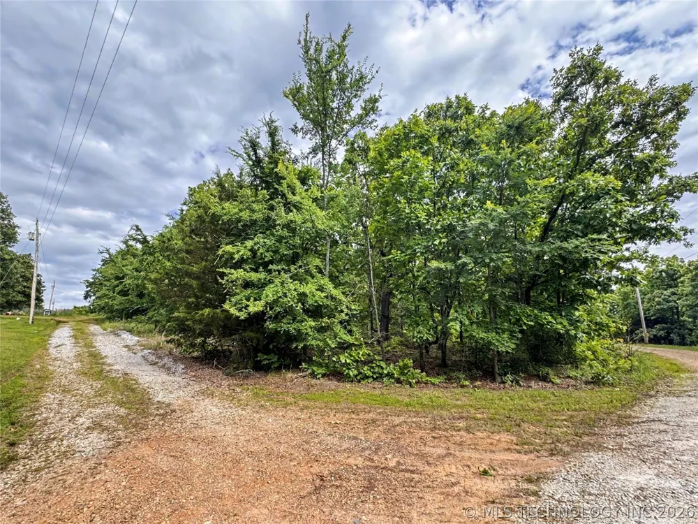 95001 S 4556 ROAD Vian, OK 74962