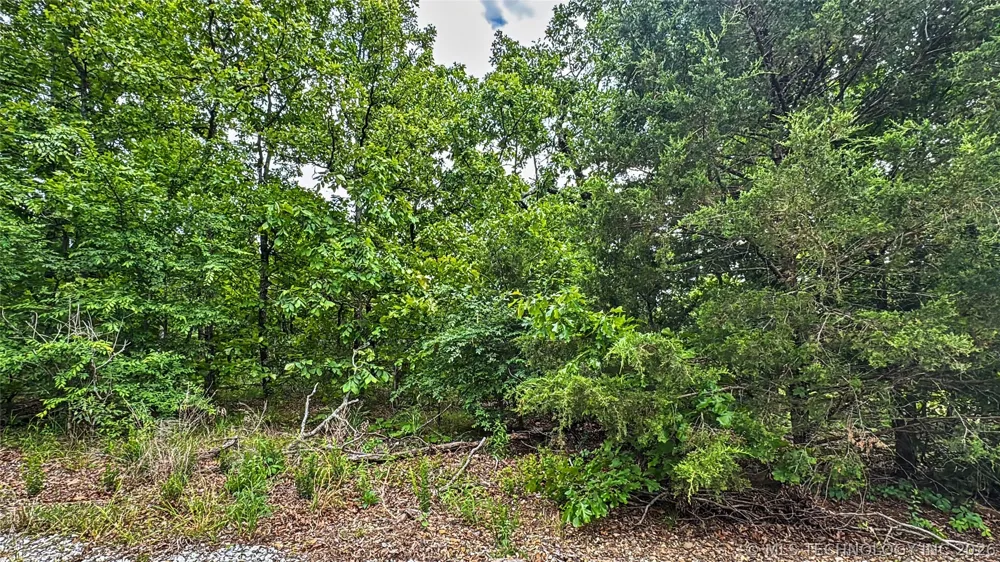 95001 S 4556 ROAD Vian, OK 74962