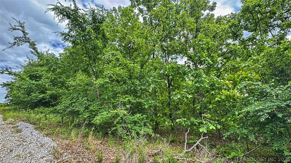 95001 S 4556 ROAD Vian, OK 74962