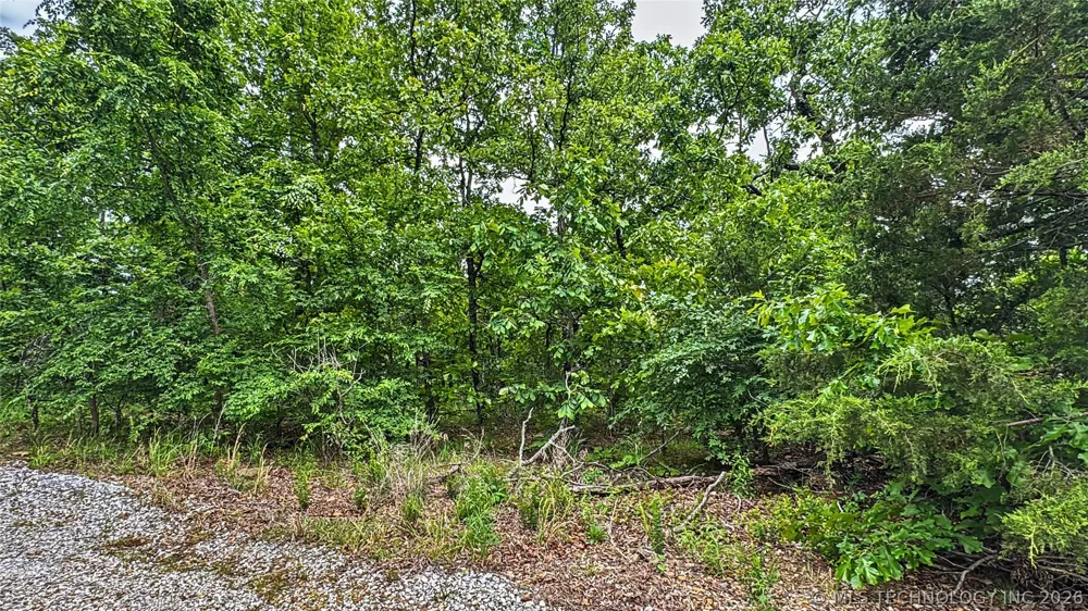 95001 S 4556 ROAD Vian, OK 74962