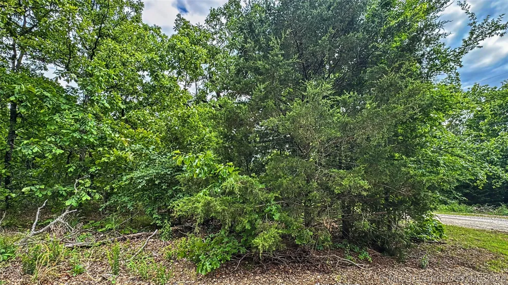 95001 S 4556 ROAD Vian, OK 74962