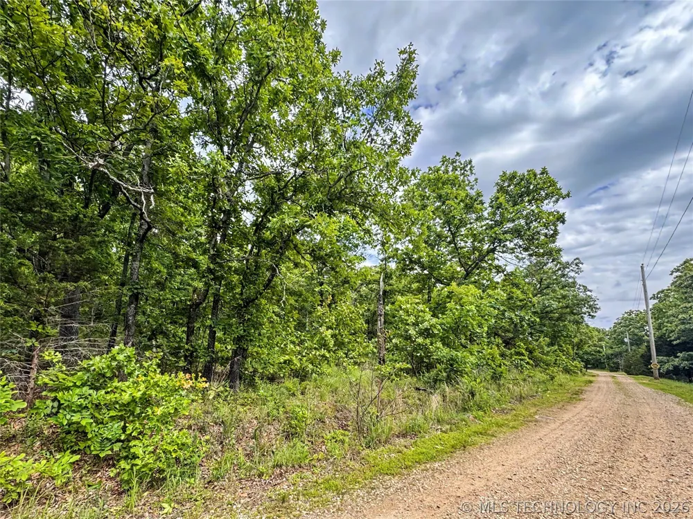 95001 S 4556 ROAD Vian, OK 74962