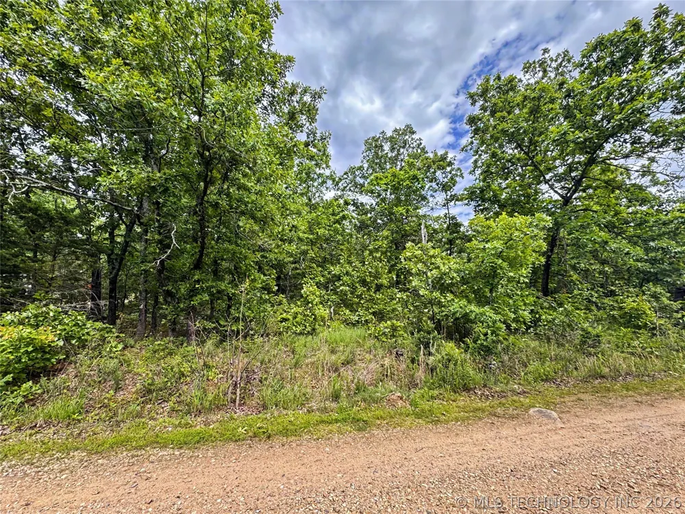 95001 S 4556 ROAD Vian, OK 74962