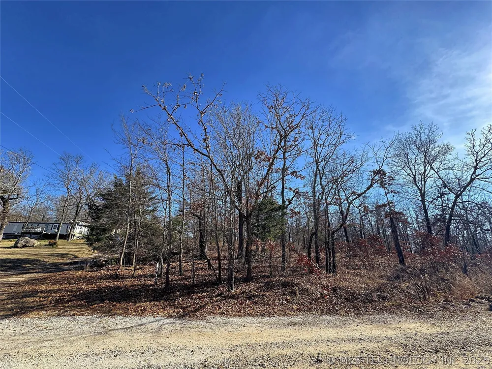 95001 S 4556 ROAD Vian, OK 74962