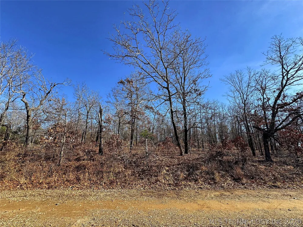 95001 S 4556 ROAD Vian, OK 74962