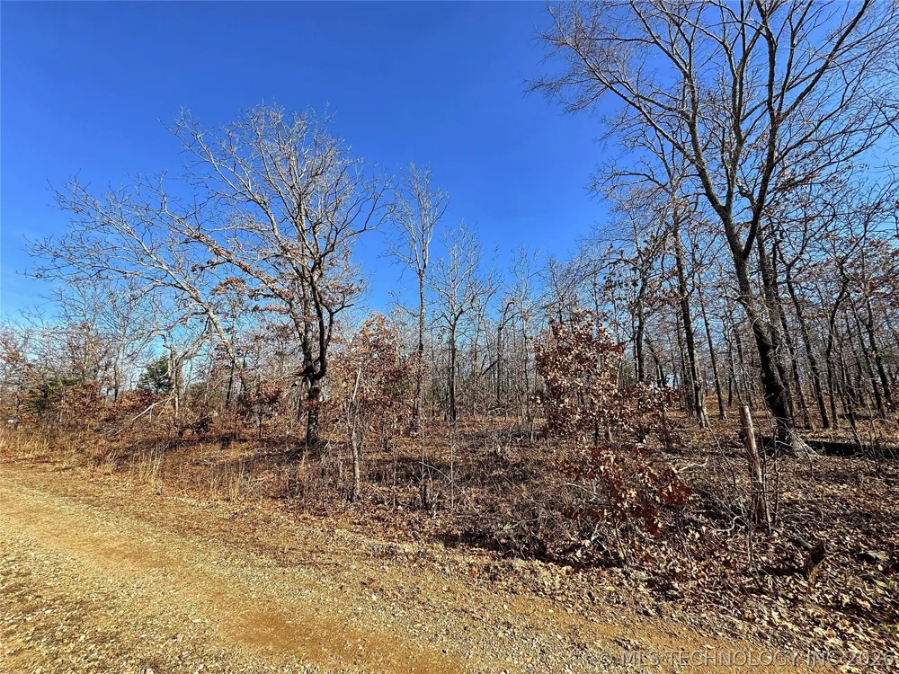 95001 S 4556 ROAD Vian, OK 74962