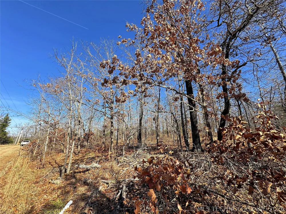 95001 S 4556 ROAD Vian, OK 74962