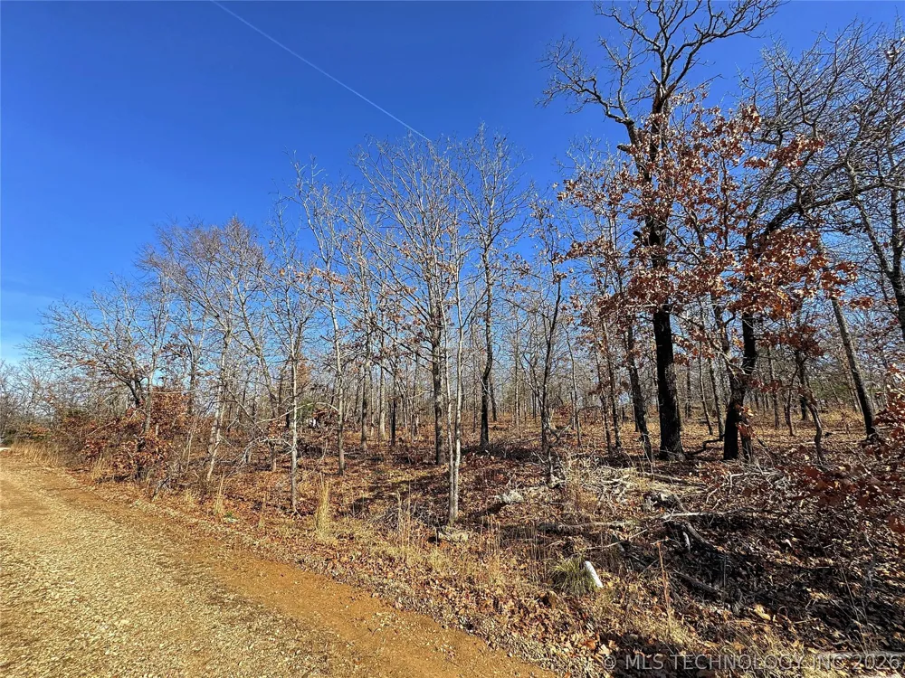 95001 S 4556 ROAD Vian, OK 74962