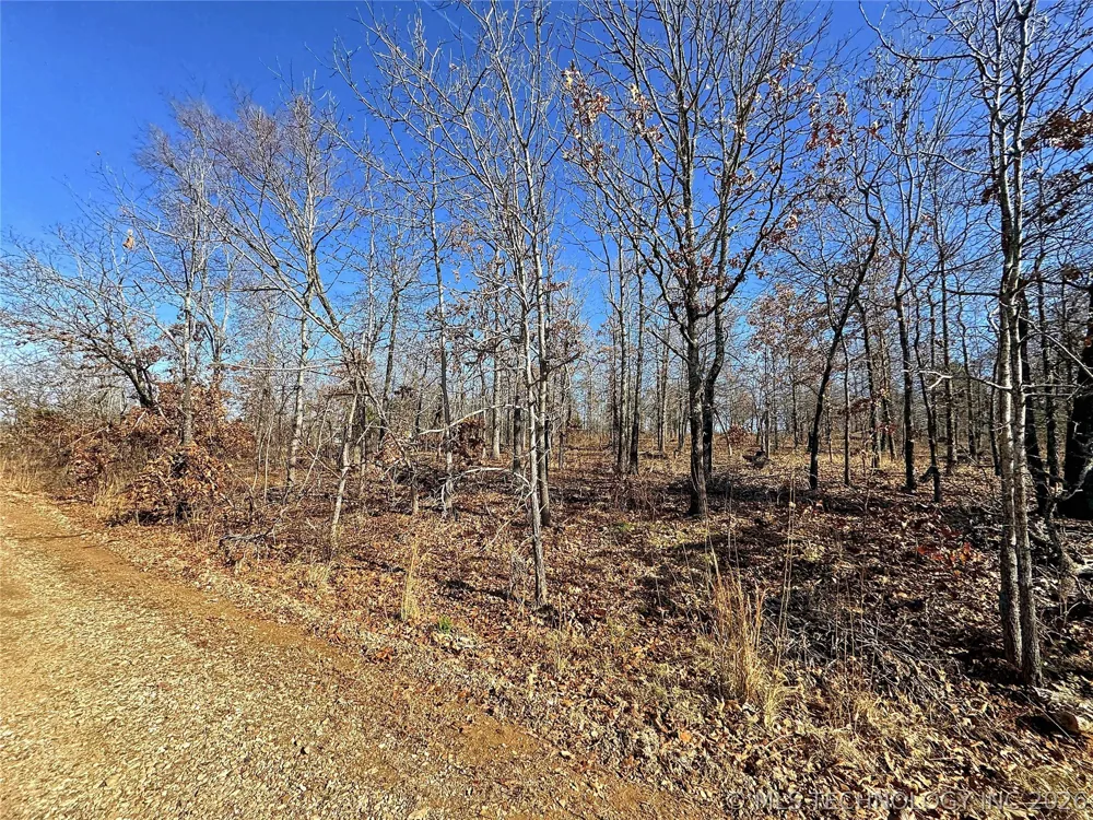 95001 S 4556 ROAD Vian, OK 74962