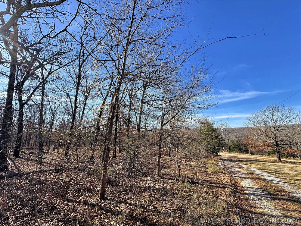 95001 S 4556 ROAD Vian, OK 74962
