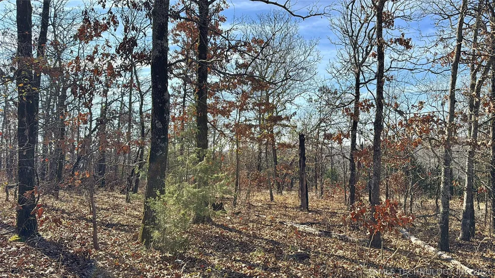 95001 S 4556 ROAD Vian, OK 74962