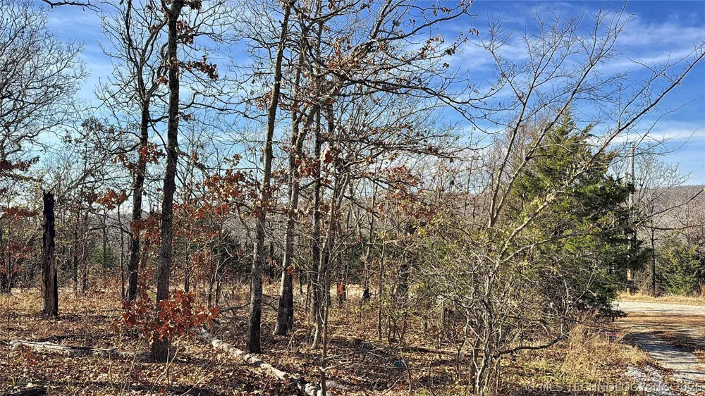 95001 S 4556 ROAD Vian, OK 74962
