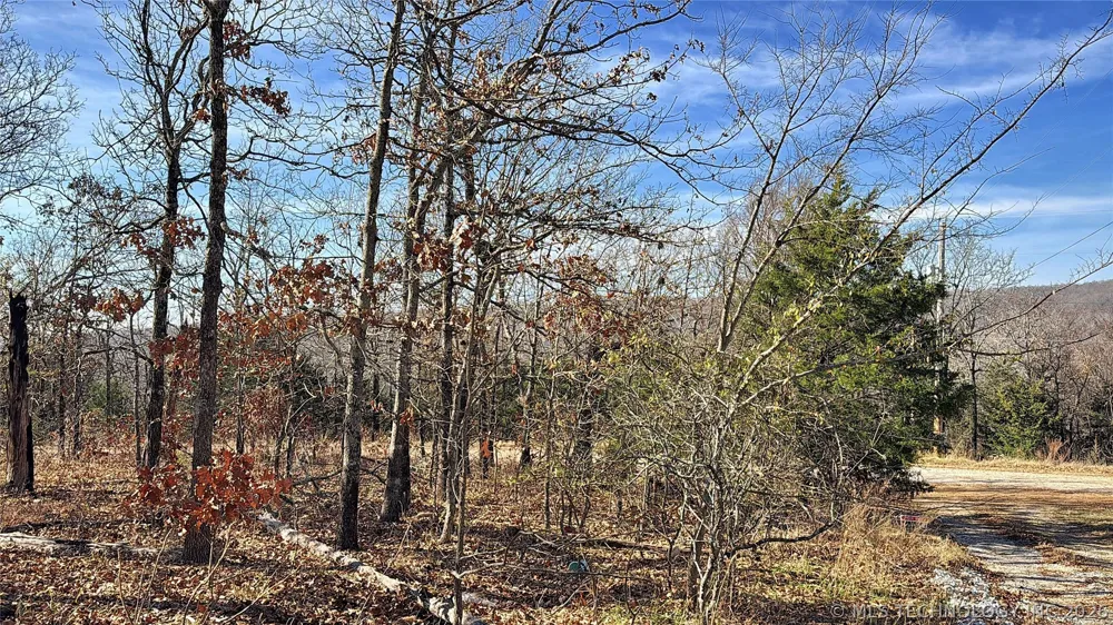 95001 S 4556 ROAD Vian, OK 74962
