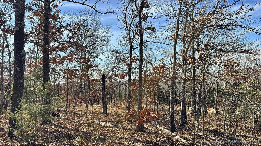 95001 S 4556 ROAD Vian, OK 74962